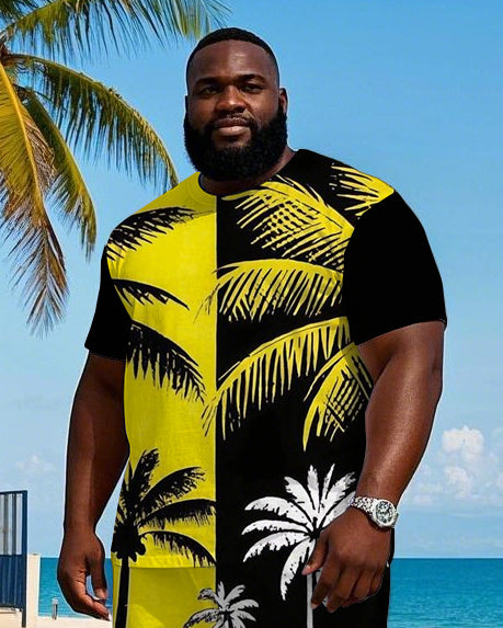 Big & Tall Hawaiian Colorblock T-Shirt Shorts Set for big men view 2