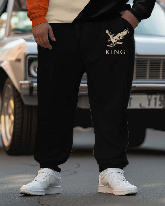 Big & Tall Colorblock Hoodie Sweatpants Set for big men view 3