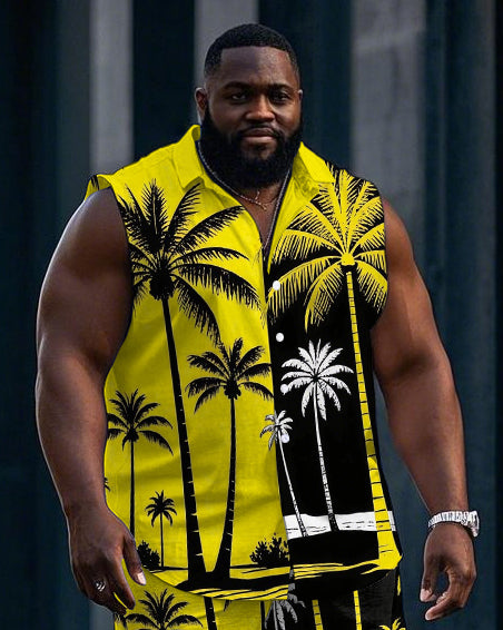 Big & Tall Hawaiian Colorblock T-Shirt Shorts Set for big men view 2