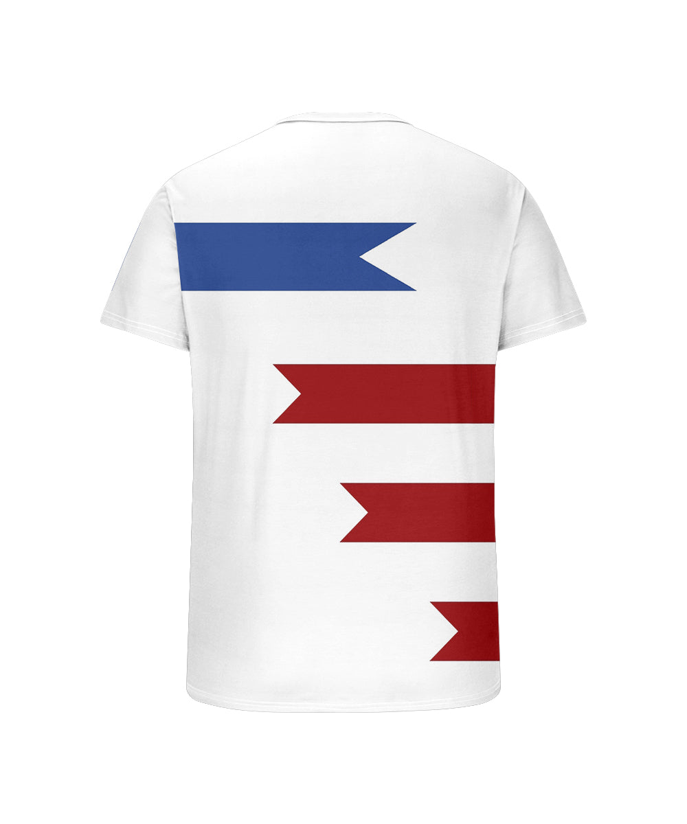 Big & Tall Colorblock T-Shirt for big men view 5