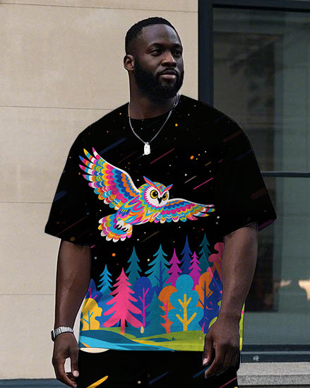 Big & Tall Streetwear T-Shirt Pants Set for big men view 2