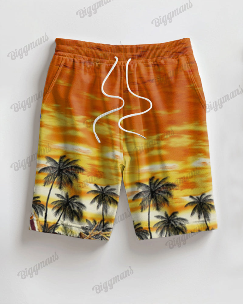 Big & Tall Colorblock Streetwear T-Shirt Shorts Set for big men view 4
