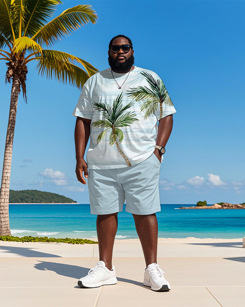 Big & Tall Blue Hawaiian Striped T-Shirt Shorts Set for big men view 1
