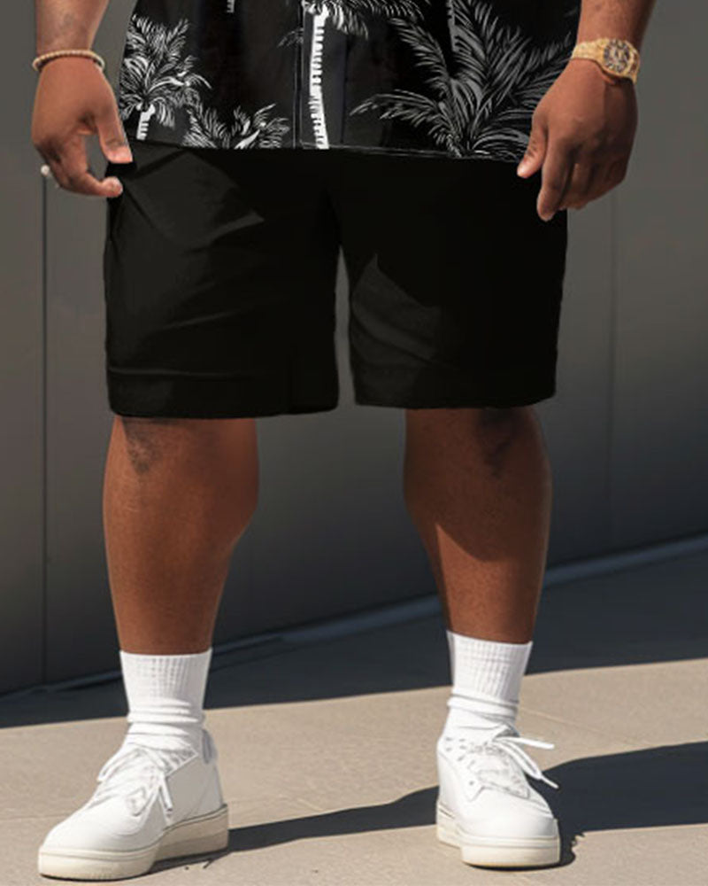 Big & Tall Hawaiian Graphic T-Shirt Shorts Set for big men view 4
