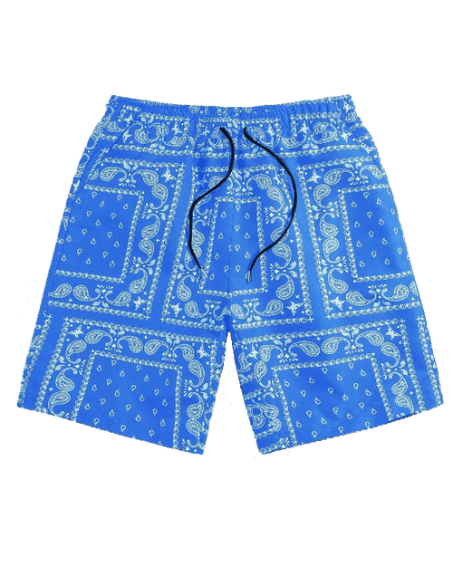 Big & Tall Hawaiian Graphic Floral Swim Trunks for big men