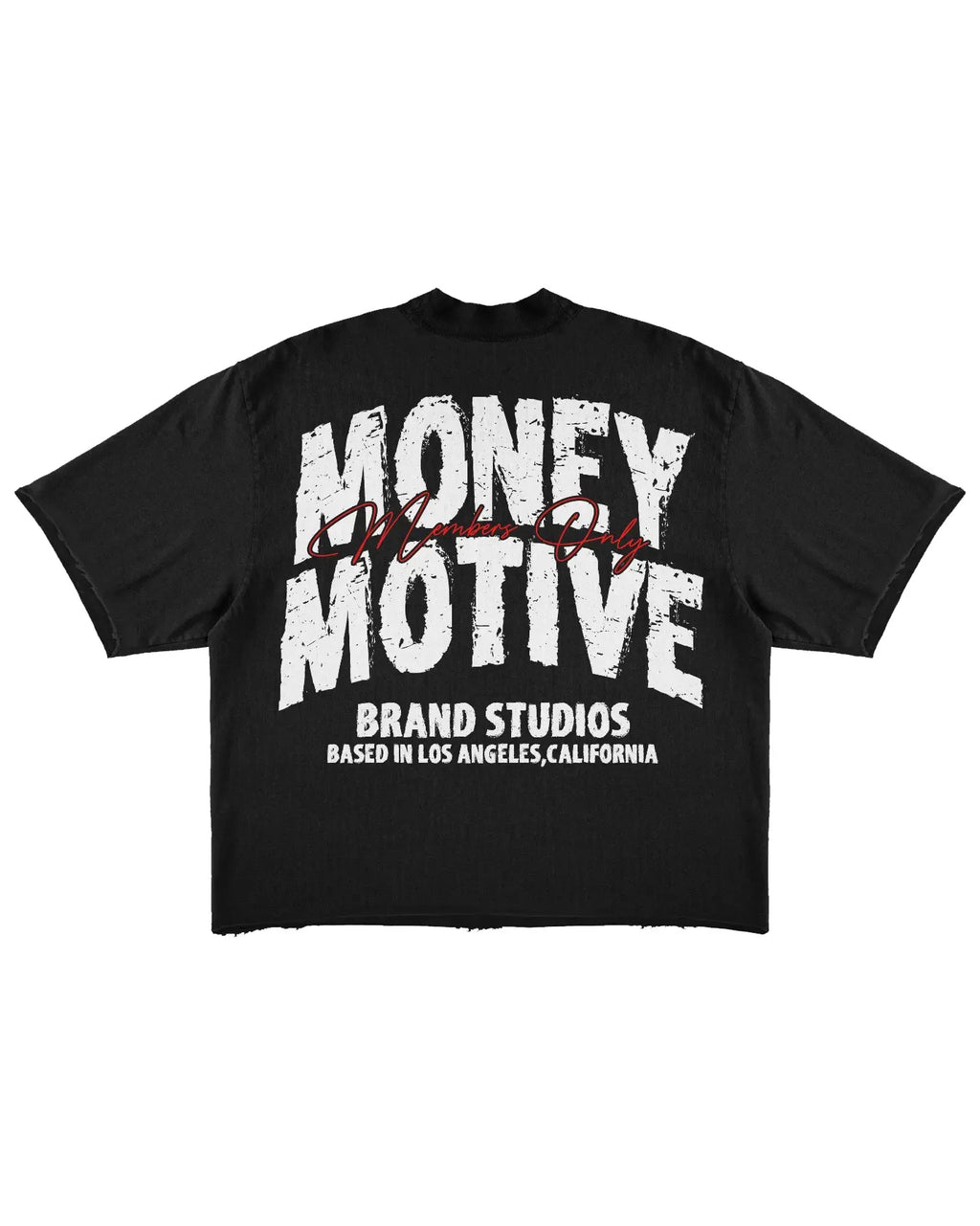 Big & Tall Streetwear Skull T-Shirt Pants Set for big men view 5