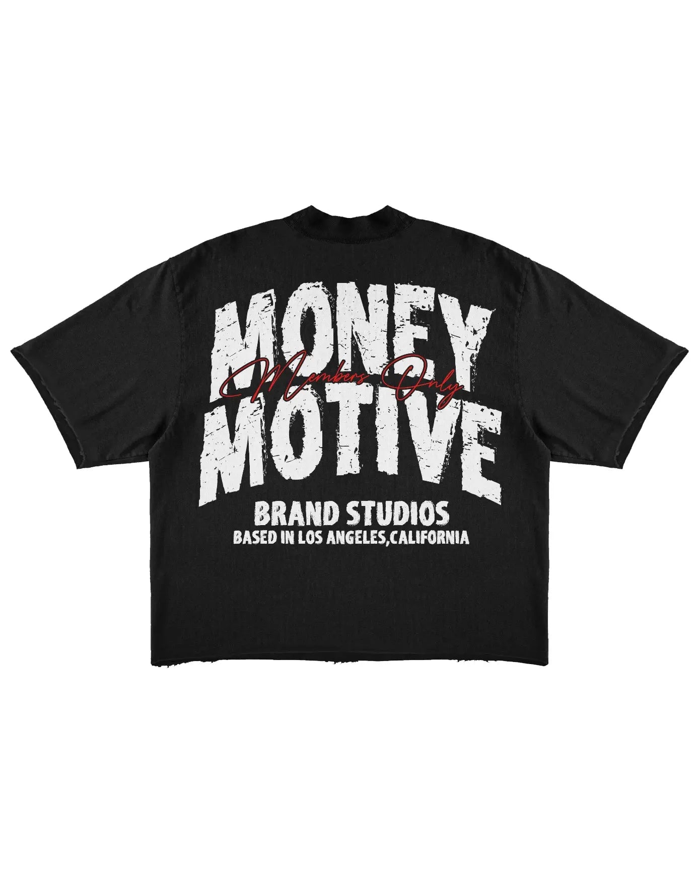 Big & Tall Streetwear Skull T-Shirt Pants Set for big men view 5
