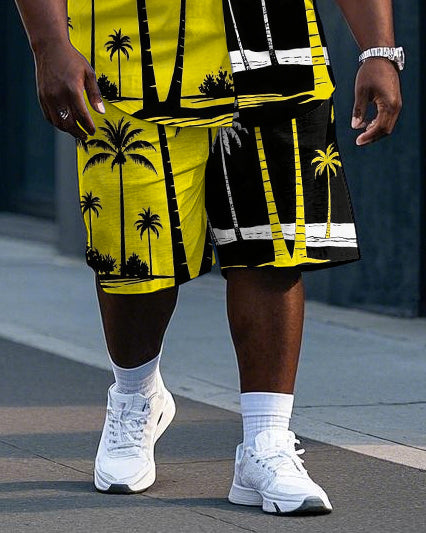 Big & Tall Hawaiian Colorblock T-Shirt Shorts Set for big men view 3
