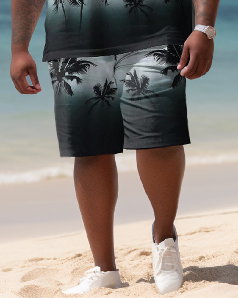 Big & Tall Hawaiian Colorblock T-Shirt Shorts Set for big men view 4