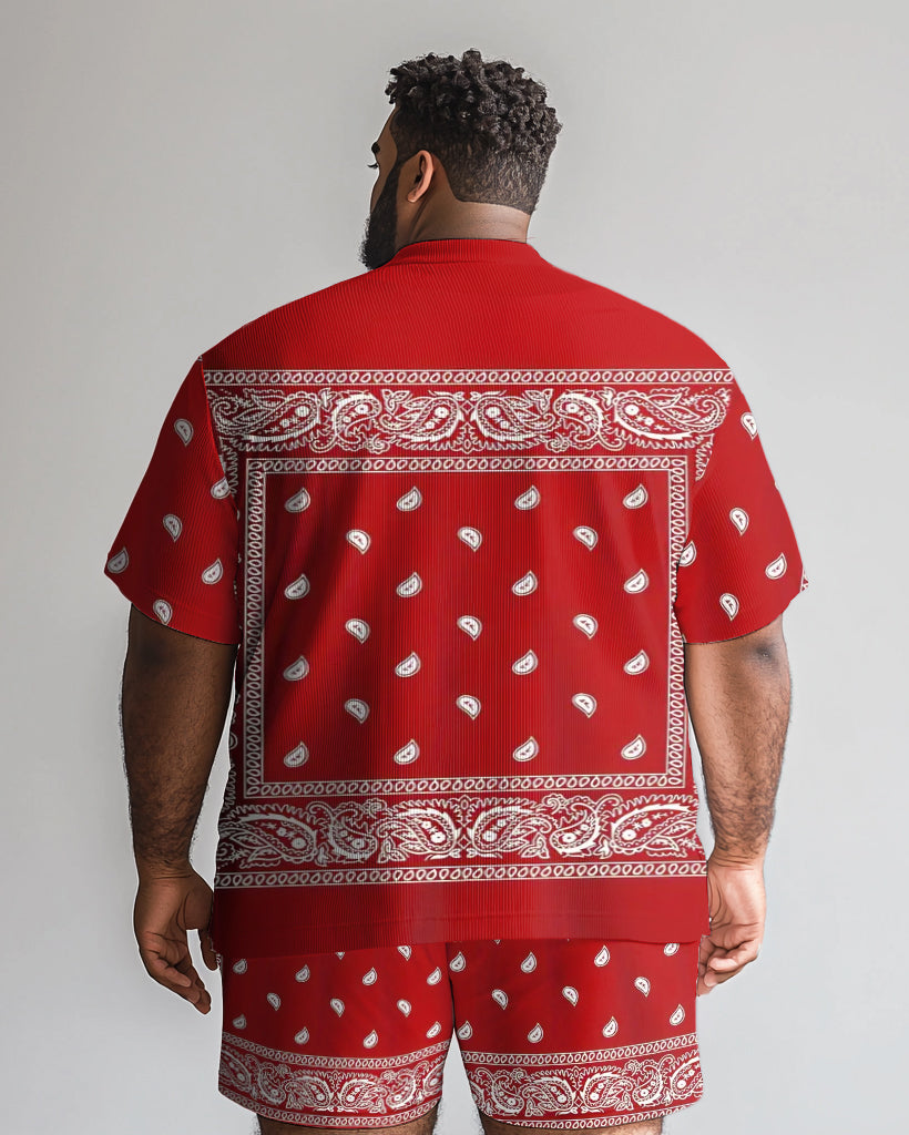 Big & Tall Graphic Floral Vintage T-Shirt Shorts Set for big men view 2
