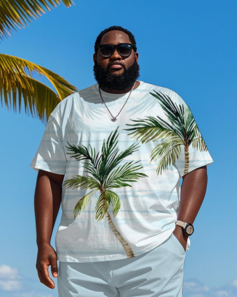 Big & Tall Blue Hawaiian Striped T-Shirt Shorts Set for big men view 2
