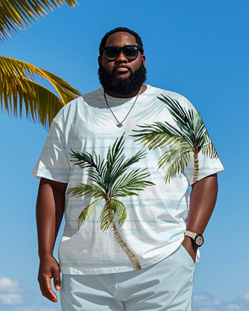 Big & Tall Blue Hawaiian Striped T-Shirt Shorts Set for big men view 2