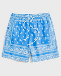 Big & Tall Streetwear Athletic Shorts for big men