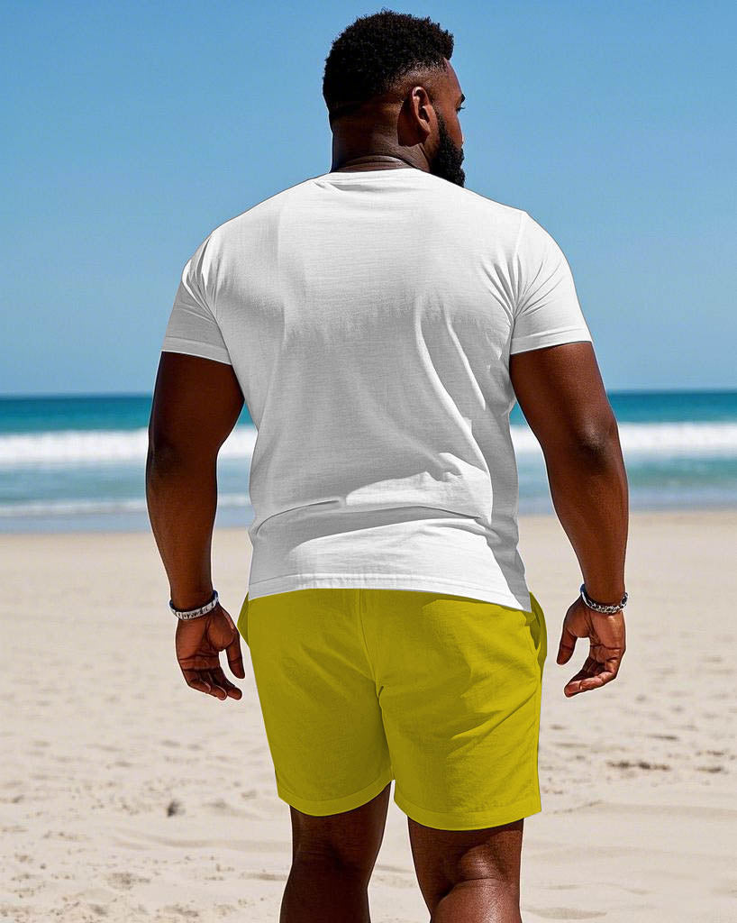 Big & Tall Hawaiian Colorblock Polo Shorts Set for big men view 4