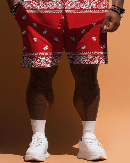 Big & Tall Graphic Floral Vintage T-Shirt Shorts Set for big men view 3