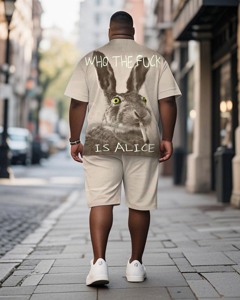 Big & Tall Khaki Graphic T-Shirt Shorts Set for big men view 4