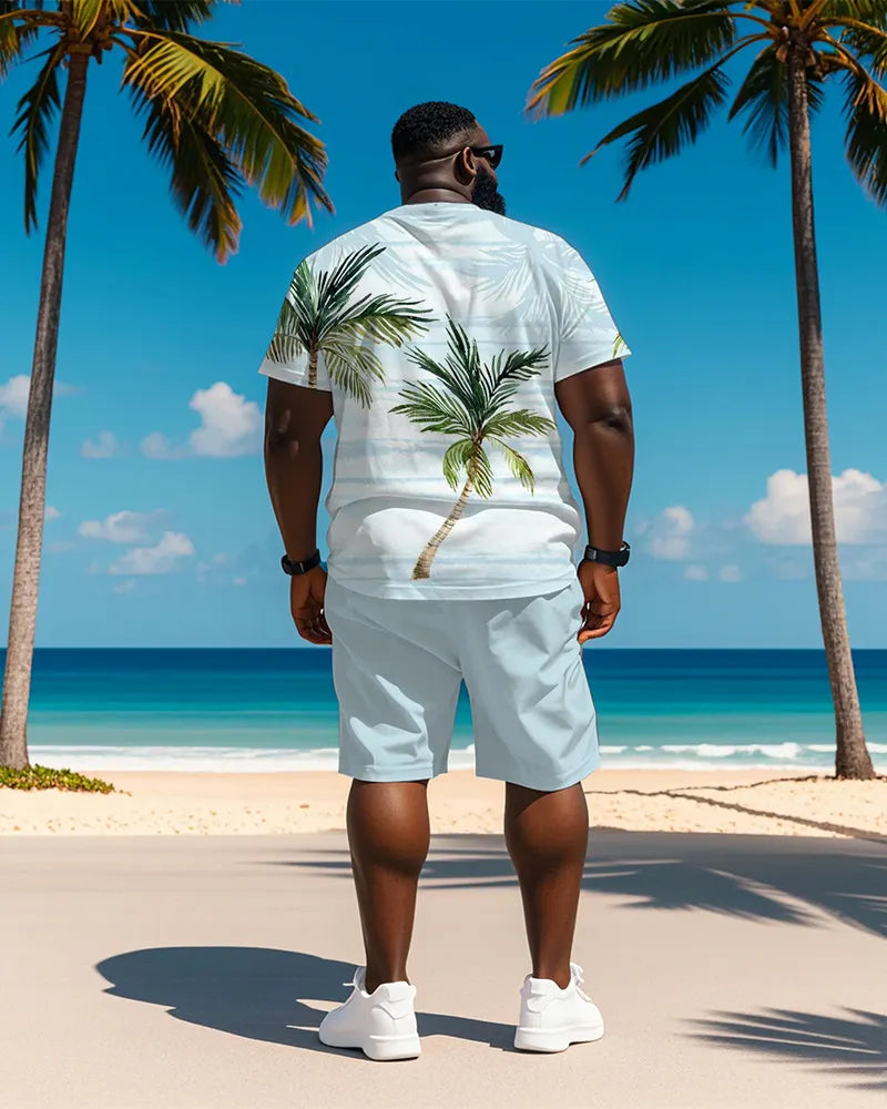 Big & Tall Blue Hawaiian Striped T-Shirt Shorts Set for big men view 4