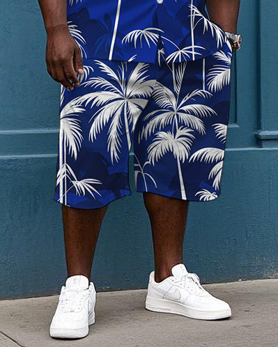 Big & Tall Hawaiian T-Shirt Shorts Set for big men view 3